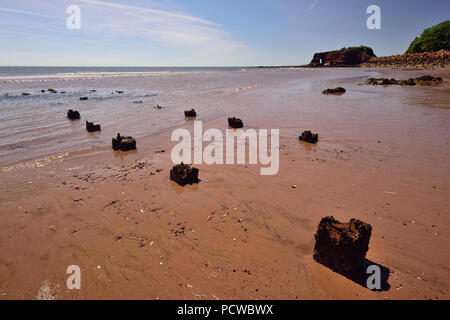 Dawlish Warren Beach in der Nähe von langstone Rock, Rock Rüstung am Meer entlang der Wand, und die Reste der buhnen. Stockfoto