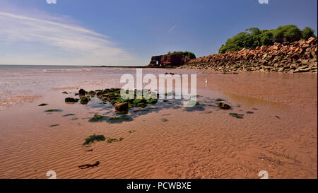 Dawlish Warren Beach in der Nähe von langstone Rock, Rock Rüstung am Meer entlang der Wand. Stockfoto