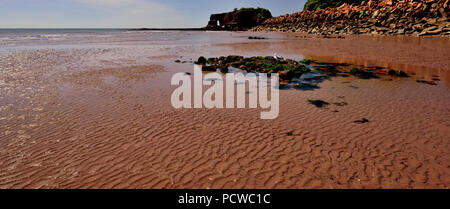 Dawlish Warren Beach in der Nähe von langstone Rock, Rock Rüstung am Meer entlang der Wand. Stockfoto