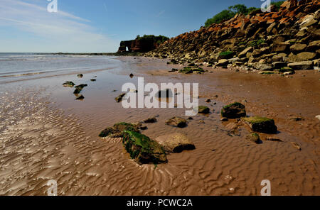 Dawlish Warren Beach in der Nähe von langstone Rock, Rock Rüstung am Meer entlang der Wand. Stockfoto