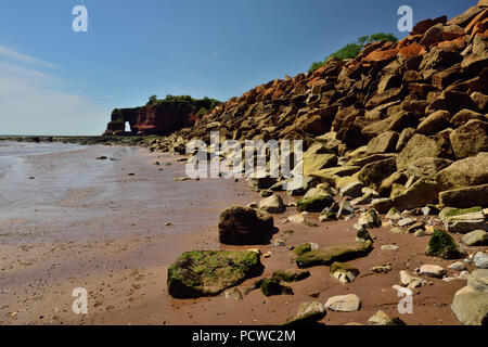Dawlish Warren Beach in der Nähe von langstone Rock, Rock Rüstung am Meer entlang der Wand. Stockfoto
