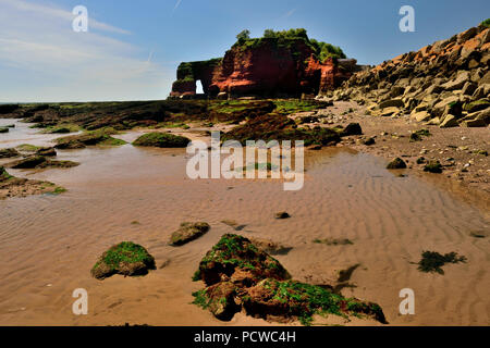 Dawlish Warren Beach in der Nähe von langstone Rock, Rock Rüstung am Meer entlang der Wand. Stockfoto