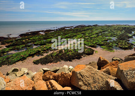 Dawlish Warren Strand bei Ebbe, von oberhalb der Felsen Rüstung am Meer entlang der Wand in der Nähe Langstone Rock gesehen. Stockfoto