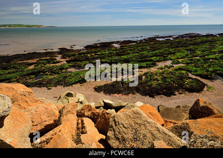 Dawlish Warren Strand bei Ebbe, von oberhalb der Felsen Rüstung am Meer entlang der Wand in der Nähe Langstone Rock gesehen. Stockfoto