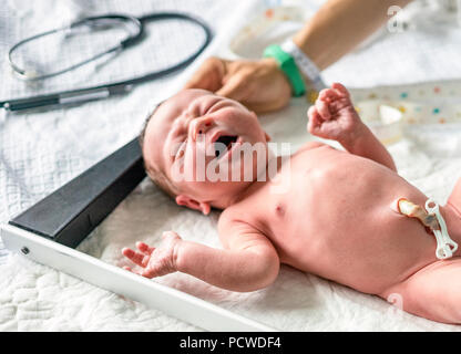 Messung der Höhe eines neugeborenen Jungen im Krankenhaus Stockfoto