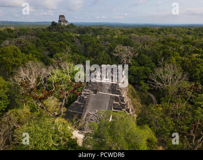 Nationalpark Tikal, Guatemala Stockfoto