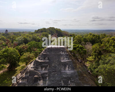 Nationalpark Tikal, Guatemala Stockfoto