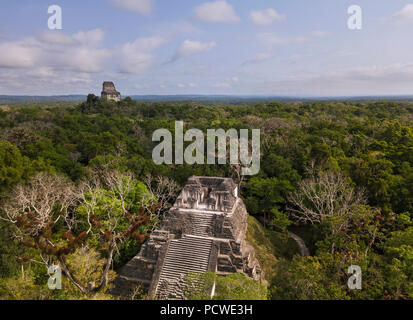 Nationalpark Tikal, Guatemala Stockfoto