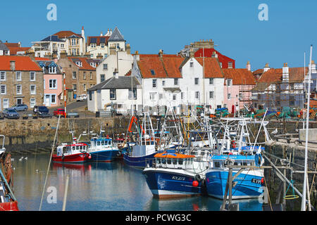 Fischerboote im Hafen Pittenweem, Fife, Schottland Stockfoto