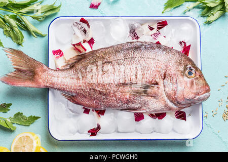 Rohe ganze Fische, die in Fach mit Eiswürfeln auf hellem Türkis Hintergrund mit heabs und Gewürze, Ansicht von oben. Meeresfrüchte Konzept. Rosa dorado kochen Vorbereitung Stockfoto