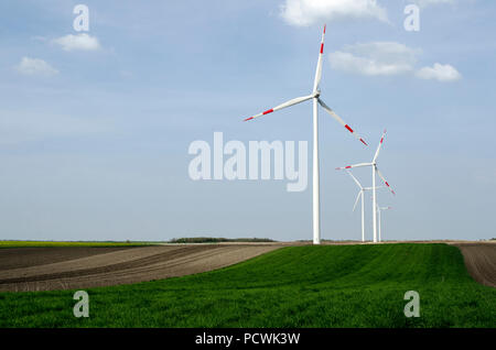 Die Windenergieanlage ist ein Gerät, dass die kinetische Energie des Windes in Strom umwandelt, in Feldern in Alibunar, Banat und Serbien. Stockfoto