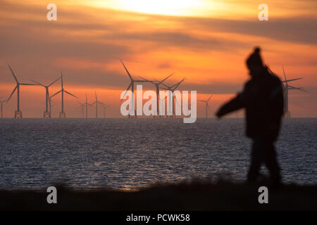 Ein Mann im Winter Kleidung vor der zahlreichen Windkraftanlagen vor der Küste von Walney Island, Cumbria Stockfoto