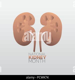 National Kidney Monat Icon Design, infografik Gesundheit. Vector Illustration. Stock Vektor