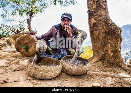 ELLA, SRI LANKA - 30 Dezember 2016: Schlangenbeschwörer mit Cobra in Ella am 30.Dezember 2016, Sri Lanka Stockfoto