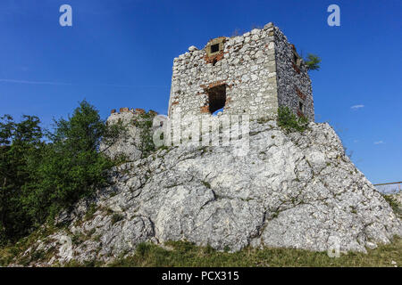 Divci Hrady Schloss, Ruinen, Palava Region, Südmähren, Tschechische Republik Stockfoto