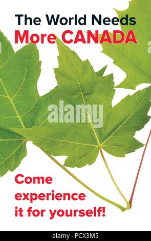 Poster Förderung des Tourismus in Kanada. Übersicht kanadische Maple Leafs und ein Aufruf zum Handeln. Stock Vektor