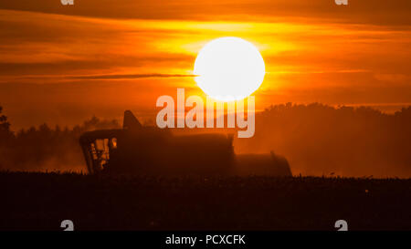 Staffordshire, Großbritannien. 4. August 2018. Ein Mähdrescher arbeiten ein Feld bei einem atemberaubenden Sonnenuntergang in der Nähe von Abbots Bromley, Staffordshire, Großbritannien, am Abend des 4. August 2018. Foto von Richard Holmes. Stockfoto