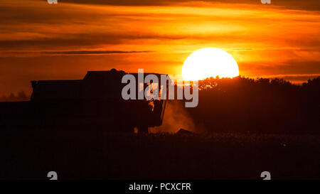Staffordshire, Großbritannien. 4. August 2018. Ein Mähdrescher arbeiten ein Feld bei einem atemberaubenden Sonnenuntergang in der Nähe von Abbots Bromley, Staffordshire, Großbritannien, am Abend des 4. August 2018. Foto von Richard Holmes. Stockfoto