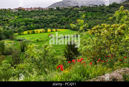 Feld in Landschaft, Abruzzen Stockfoto