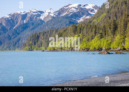 Ozean Kajakfahrer in Resurrecton in der Bucht aus Lowell Punkt in Seward, Alaska Stockfoto