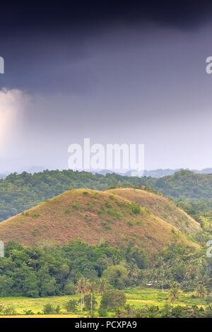 Chocolate Hills geologische Formation - rollenden Gelände der haycock Hügel - Kegelförmige Kalkstein Hügel Gras bedeckt - es taucht Chocolate Brown in der DR Stockfoto