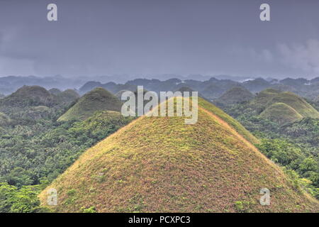 Chocolate Hills geologische Formation - rollenden Gelände der haycock Hügel - Kegelförmige Kalkstein Hügel Gras bedeckt - es taucht Chocolate Brown in der DR Stockfoto