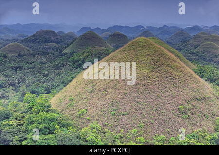 Chocolate Hills geologische Formation - rollenden Gelände der haycock Hügel - Kegelförmige Kalkstein Hügel Gras bedeckt - es taucht Chocolate Brown in der DR Stockfoto