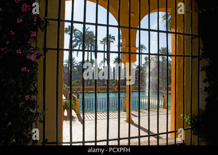 Estanque de Mercurio (Mercury Pool) und darüber hinaus, den Jardín de Las Damas, Real Alcázar Gärten, Sevilla, Andalusien, Spanien Stockfoto