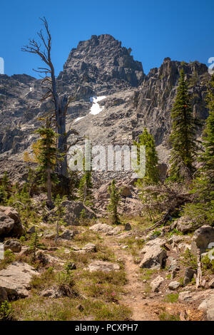 Wilderness Trail führt zu der Er Teufel in Central Idaho Stockfoto