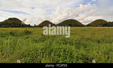 Chocolate Hills geologische Formation - rollenden Gelände der haycock Hügel - Kegelförmige Kalkstein Hügel Gras bedeckt - es taucht Chocolate Brown in der DR Stockfoto