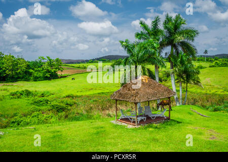 Grüne Ackerland in Matanzas, Cuba Stockfoto