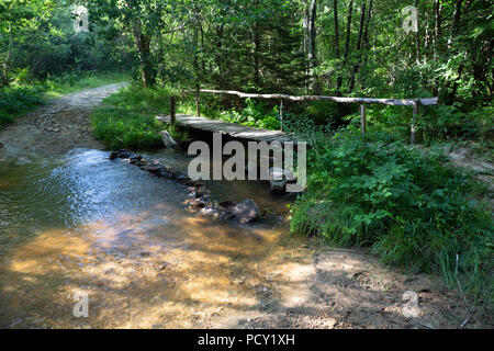 Friedliche Szene eines idyllischen hölzerne Brücke über einen kleinen Fluss in der natürlichen Waldgebiet des Limousin in Frankreich. Stockfoto