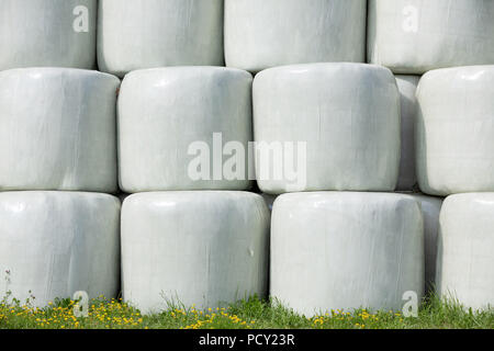 Gestapelte runde Silageballen in Weiß Film später für die Ernährung von Vieh genutzt werden. Stockfoto