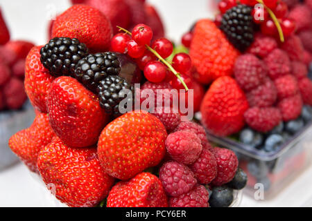 Frisches Obst in einem Körbchen für Verkauf, Erdbeeren, Brombeeren, Johannisbeeren, Himbeeren, Heidelbeeren Stockfoto
