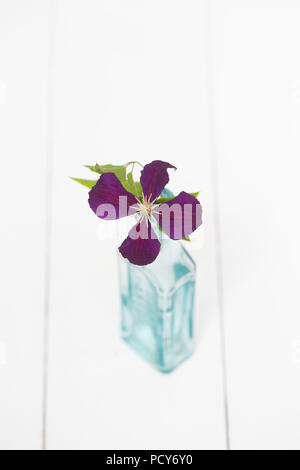 Abholung clematis Blume in vintage Glasflasche auf weißem Hintergrund Stockfoto