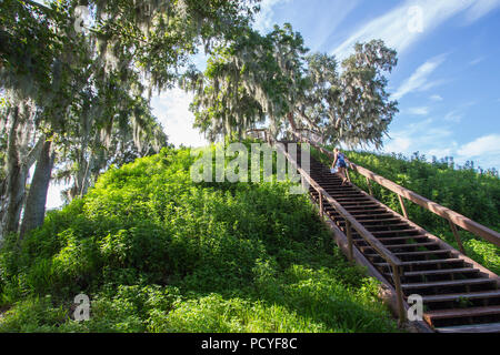 Crystal River Archaeological State Park, Tempel Damm. Stockfoto