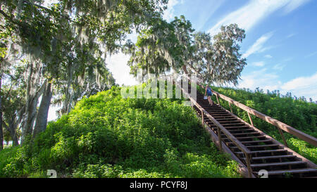 Crystal River Archaeological State Park, Tempel Damm. Stockfoto