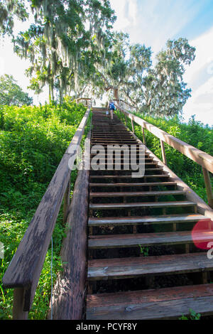 Crystal River Archaeological State Park, Tempel Damm. Stockfoto