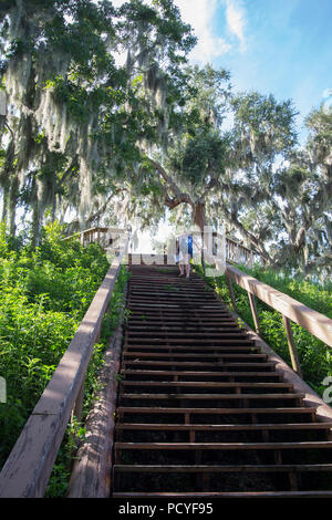 Crystal River Archaeological State Park, Tempel Damm. Stockfoto