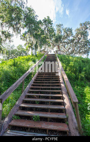 Crystal River Archaeological State Park, Tempel Damm. Stockfoto