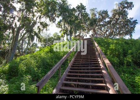 Crystal River Archaeological State Park, Tempel Damm. Stockfoto