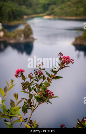 Laguna La Canada, Lagunas de Montebello Nationalpark, Montebello Seen, Chiapas, Mexiko Stockfoto