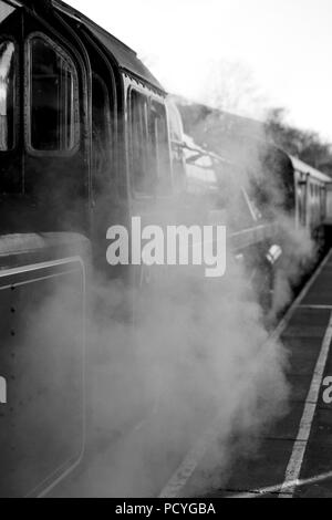 75015 Braveheart in Paignton Station an der Dartmouth Steam Railway in der Wintersonne Stockfoto