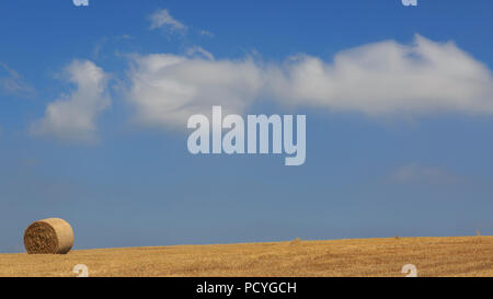 Ein einsamer Heu Ballen auf ein Feld in der South Downs National Park, in Sussex, an einem klaren Sommer Stockfoto