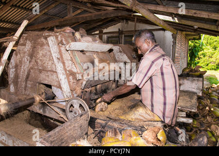 WELIGAMA, SRI LANKA - Jan 7, 2017: der Mann, der während der Herstellung Kokosöl Produkte in Weligama auf Jan 7, 2017. Sri Lanka. Stockfoto