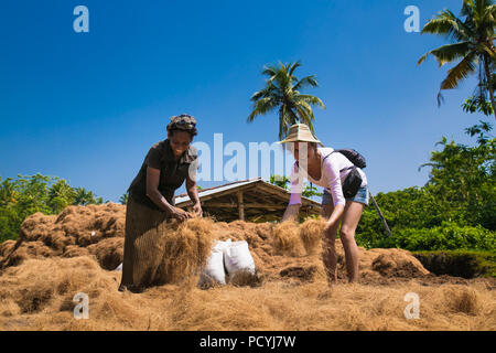 WELIGAMA, SRI LANKA - Jan 7, 2017: Zwei Frauen bei der Herstellung Kokosöl Produkte in Weligama auf Jan 7, 2017. Sri Lanka. Stockfoto