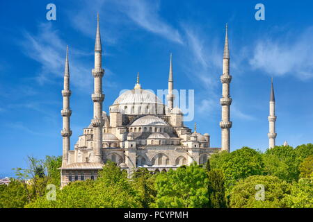 Blaue Moschee, UNESCO, Istanbul, Türkei Stockfoto
