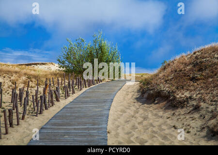 Dünen mit Holzsteg über Sand in der Nähe von Ostsee. Board weg über Sand Strand Dünen in Litauen. Stockfoto