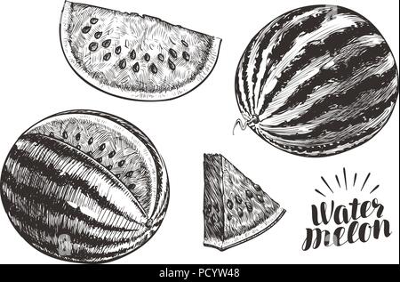 Wassermelone und Schichten, Skizze. Vintage Vector Illustration Stock Vektor