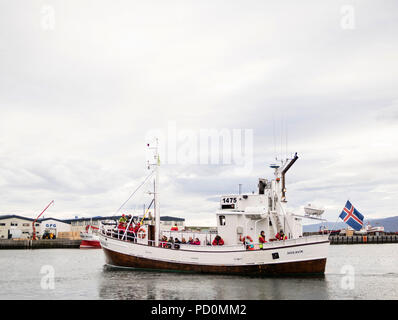 Húsavík Whale Watching Boot Tour mit den Touristen auf dem Boot am Hafen in Husavik, Husavik Skjálfandi Bucht, North Island Stockfoto